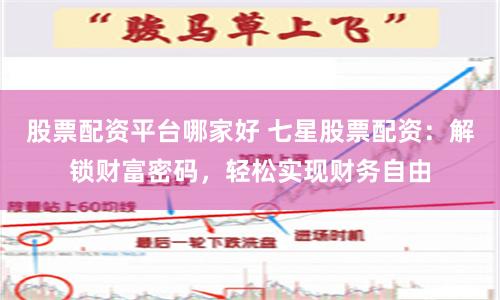 股票配资平台哪家好 七星股票配资：解锁财富密码，轻松实现财务自由