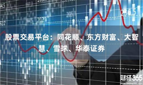 股票交易平台：同花顺、东方财富、大智慧、雪球、华泰证券