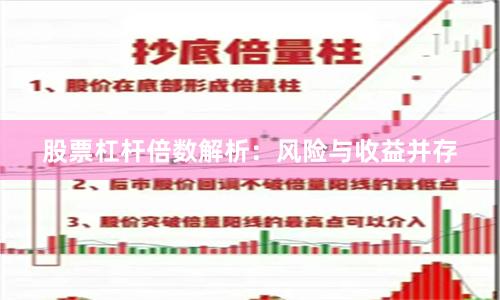 股票杠杆倍数解析：风险与收益并存