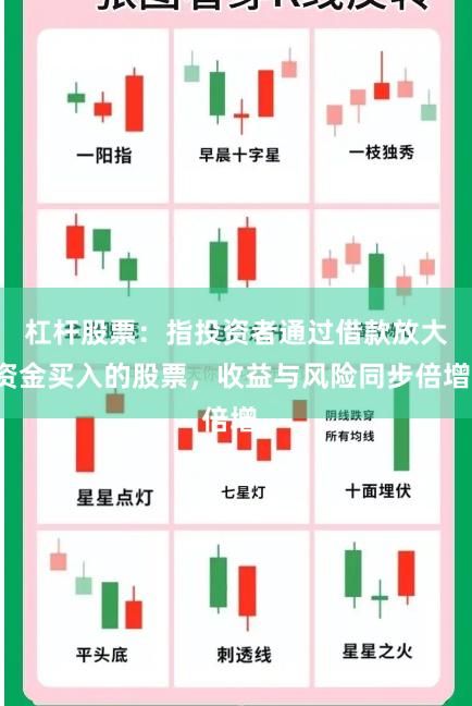 杠杆股票:指投资者通过借款放大资金买入的股票,收益与风险同步倍增。