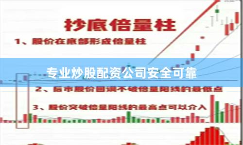 专业炒股配资公司安全可靠